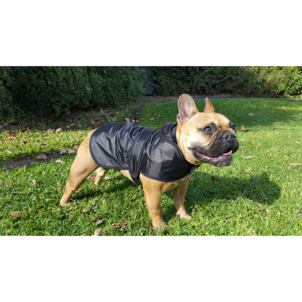 Abrigo impermeable - Imagen 3