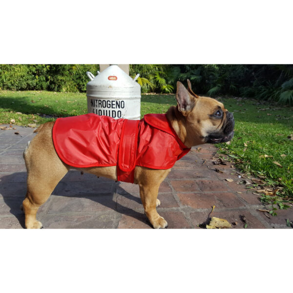 Abrigo impermeable - Imagen 2