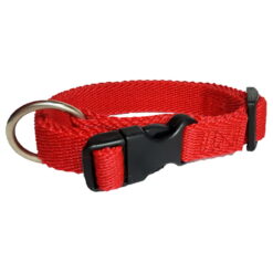 Collar ajustable de polipropileno con argolla