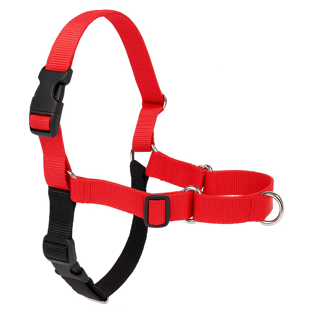 Arnes de entrenamiento y anti tirones - Imagen 2