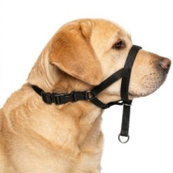 Bozal de entrenamiento