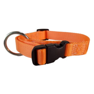 Collar ajustable de Nylon con argolla