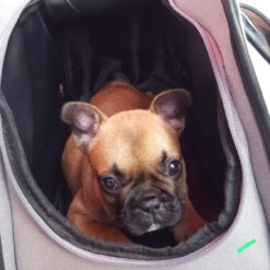 Bolsos de transporte