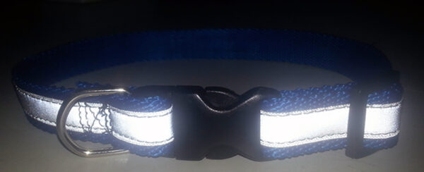 Collar reflectivo - Imagen 2