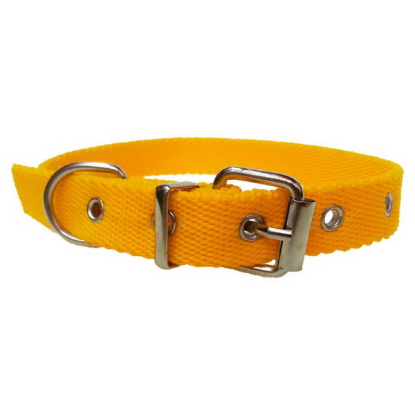 Collar econ?mico de Polipropileno - Imagen 2