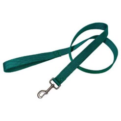 Correa de polipropileno