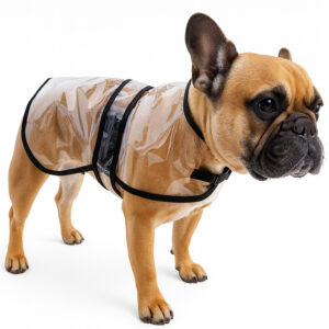 Pilotin transparente